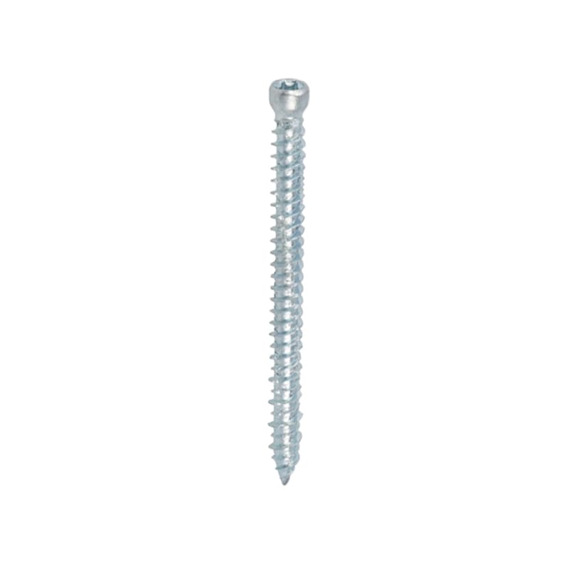 Kozijnschroef Cilinderkop TX30 – Verzinkt staal, zonder plug, 7,5 mm (100 stuks)