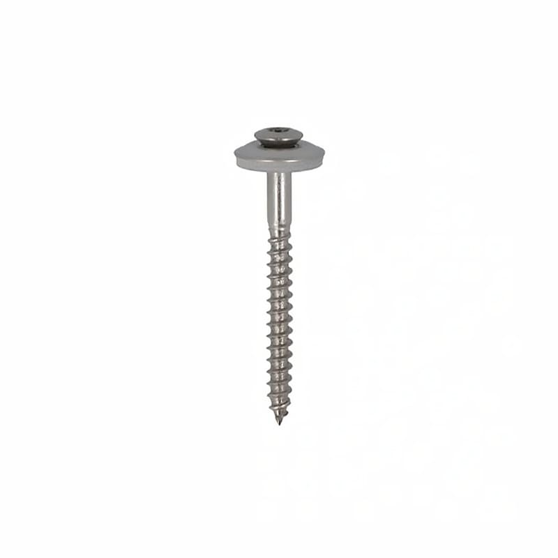 RVS spenglerschroeven A2 met EPDM – dakpanschroef TX-20